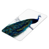blauw Elegant kleurig Peacock Magneet (Linkerzijde)