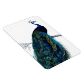blauw Elegant kleurig Peacock Magneet (Rechterzijde)
