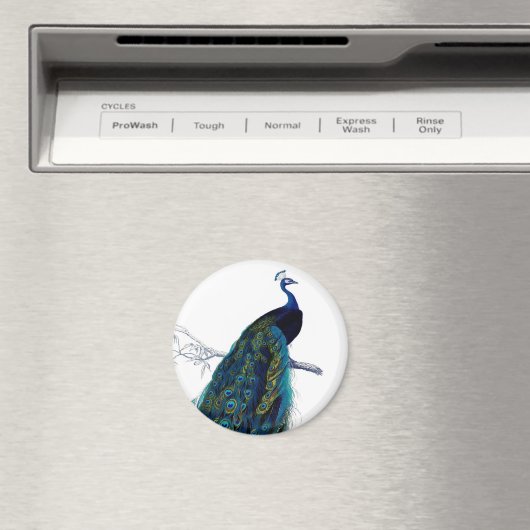  blauw Elegant kleurig Peacock Magneet (Insitu (Vaatwasser))
