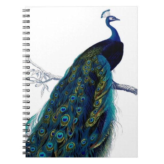  blauw Elegant kleurig Peacock Notitieboek (Voorkant)