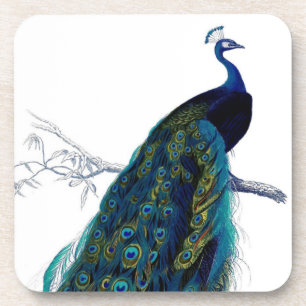  blauw Elegant kleurig Peacock Onderzetter