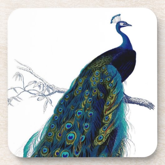  blauw Elegant kleurig Peacock Onderzetter (Voorkant)