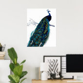  blauw Elegant kleurig Peacock Poster (Thuiskantoor)
