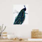  blauw Elegant kleurig Peacock Poster (Keuken)