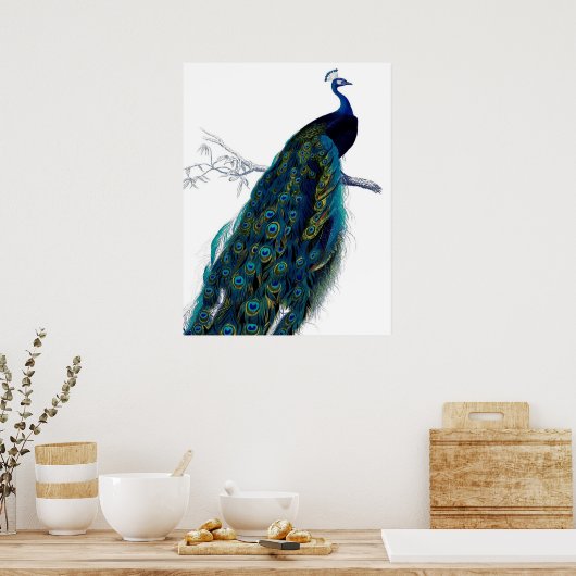  blauw Elegant kleurig Peacock Poster (Keuken)