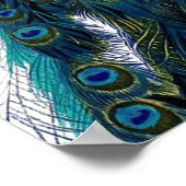  blauw Elegant kleurig Peacock Poster (Hoek)