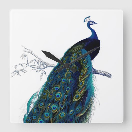  blauw Elegant kleurig Peacock Vierkante Klok (Voorkant)