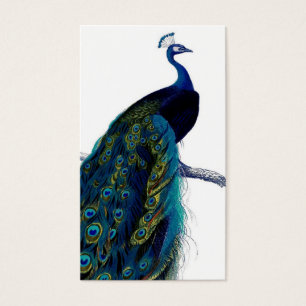 blauw Elegant kleurig Peacock Visitekaartje