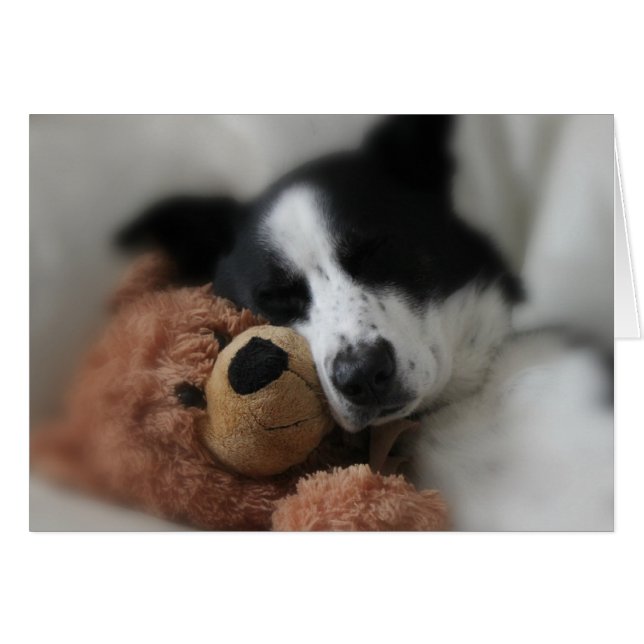 Blauw en Beer (Voorkant Horizontaal)