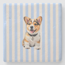 Blauw En Beige Gestreepte Speelse Corgi Hondenlief