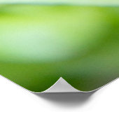 Blauw en bleek blauw viooltjes foto poster (Hoek)