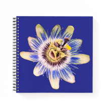 Blauw en crème bloem