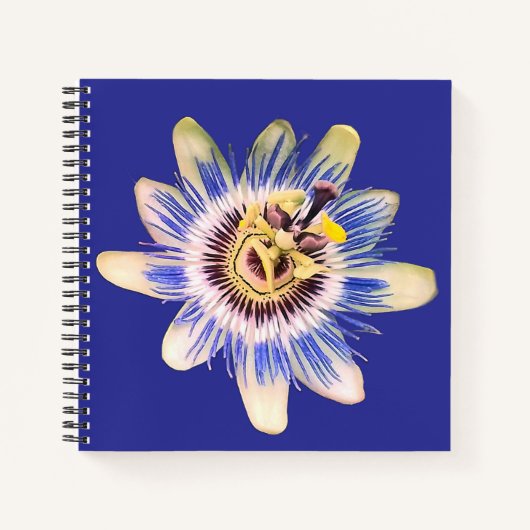 Blauw en crème bloem notitieboek (Voorkant)
