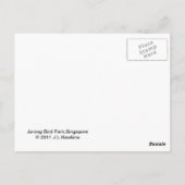 Blauw en geel Macaw Briefkaart (Achterkant)