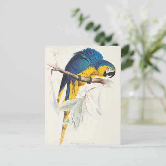 Blauw en geel Macaw Briefkaart (Staand voorkant)