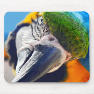 Blauw en geel Macaw Face sluiten Mousepad dicht Muismat