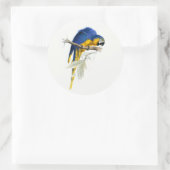 Blauw en geel Macaw  Ronde Sticker (Tas)
