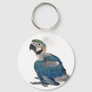 Blauw en geel Macaw Sleutelhanger