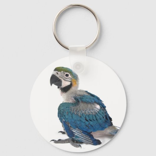 Blauw en geel Macaw Sleutelhanger (Voorkant)