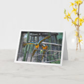 Blauw en geel papegaaienportret kaart (Gele Bloem)