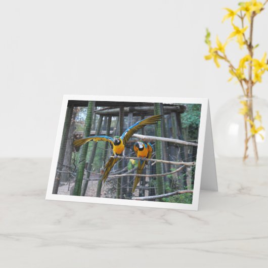 Blauw en geel papegaaienportret kaart (Gele Bloem)