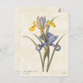 Blauw en geel Spaans Iris  Botanisch Briefkaart (Voorkant / Achterkant)