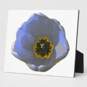 Blauw en geel Tulip Plaque Fotoplaat (Zijkant)