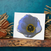 Blauw en geel Tulip Plaque Fotoplaat (Zijkant)