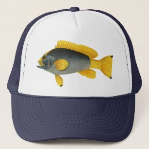 Blauw en Geel Zeebaars, Antieke Zeeleven Trucker Pet