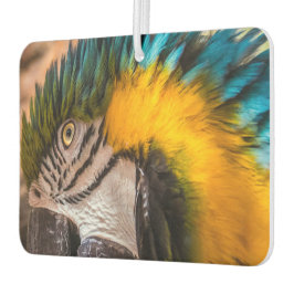 Blauw en gele ara-portret luchtverfrisser