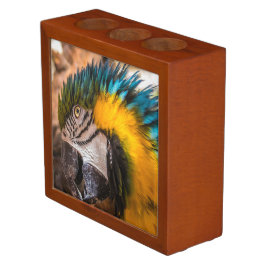 Blauw en gele ara-portret pennenhouder