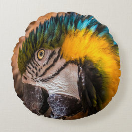Blauw en gele ara-portret rond kussen
