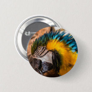 Blauw en gele ara-portret ronde button 5,7 cm