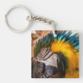 Blauw en gele ara-portret sleutelhanger (Voorkant)