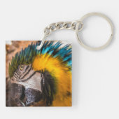 Blauw en gele ara-portret sleutelhanger (Achterkant)