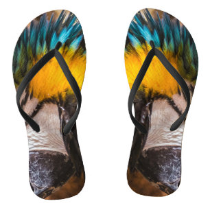 Blauw en gele ara-portret teenslippers