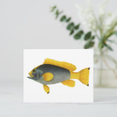  Blauw en Gele Groepervissen, Mariene Leven Briefkaart (Staand voorkant)