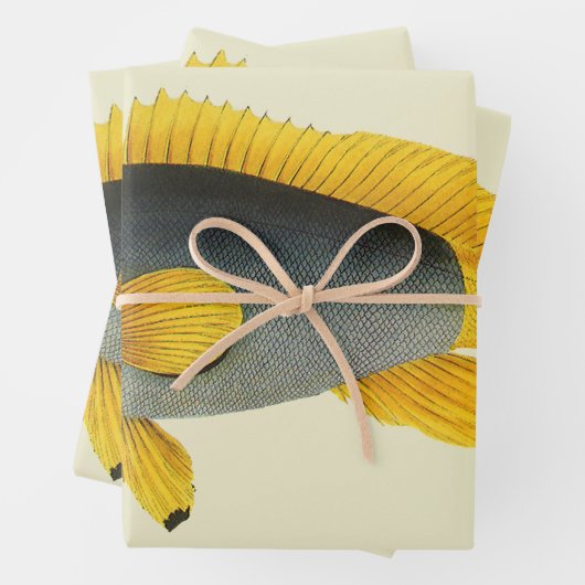  Blauw en Gele Groepervissen, Mariene Leven Inpakpapier Vel (In situ)