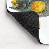 Blauw en Gele Groepervissen, Mariene Leven Muismat (Hoek)