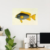  Blauw en Gele Groepervissen, Mariene Leven Poster (Thuiskantoor)
