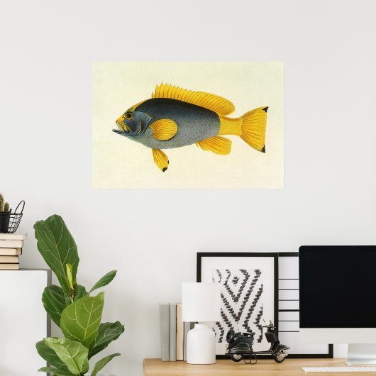 Blauw en Gele Groepervissen, Mariene Leven Poster (Thuiskantoor)
