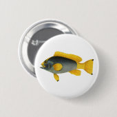 Blauw en Gele Groepervissen, Mariene Leven Ronde Button 5,7 Cm (Voorkant /achterkant)