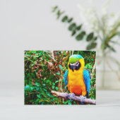 Blauw-en-gele Macaw-Briefkaart Briefkaart (Staand voorkant)