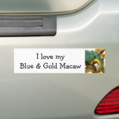 Blauw en Goud Ara Bumpersticker (Op auto)