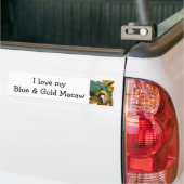 Blauw en Goud Ara Bumpersticker (Op Truck)