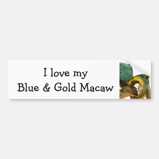 Blauw en Goud Ara Bumpersticker (Voorkant)