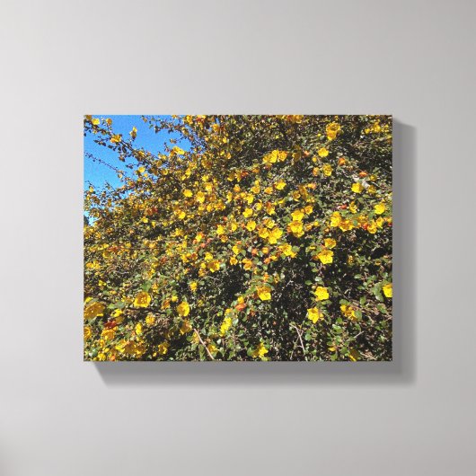 Blauw en goud canvas afdruk (Voorkant)