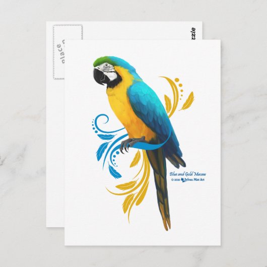 Blauw en Goud Macaw Briefkaart (Voorkant / Achterkant)
