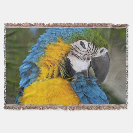Blauw en Goud Papegaai Deken (Voorkant)