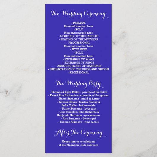 Blauw en Goud String Lights Programma Programmakaart (Achterkant)